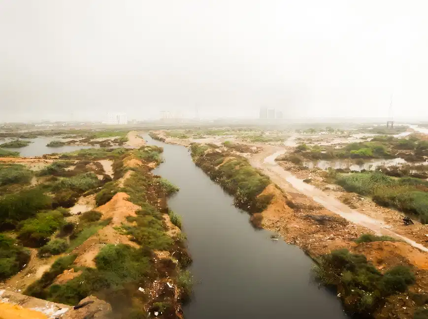 Environmental Monitoring and Habitat Assessments